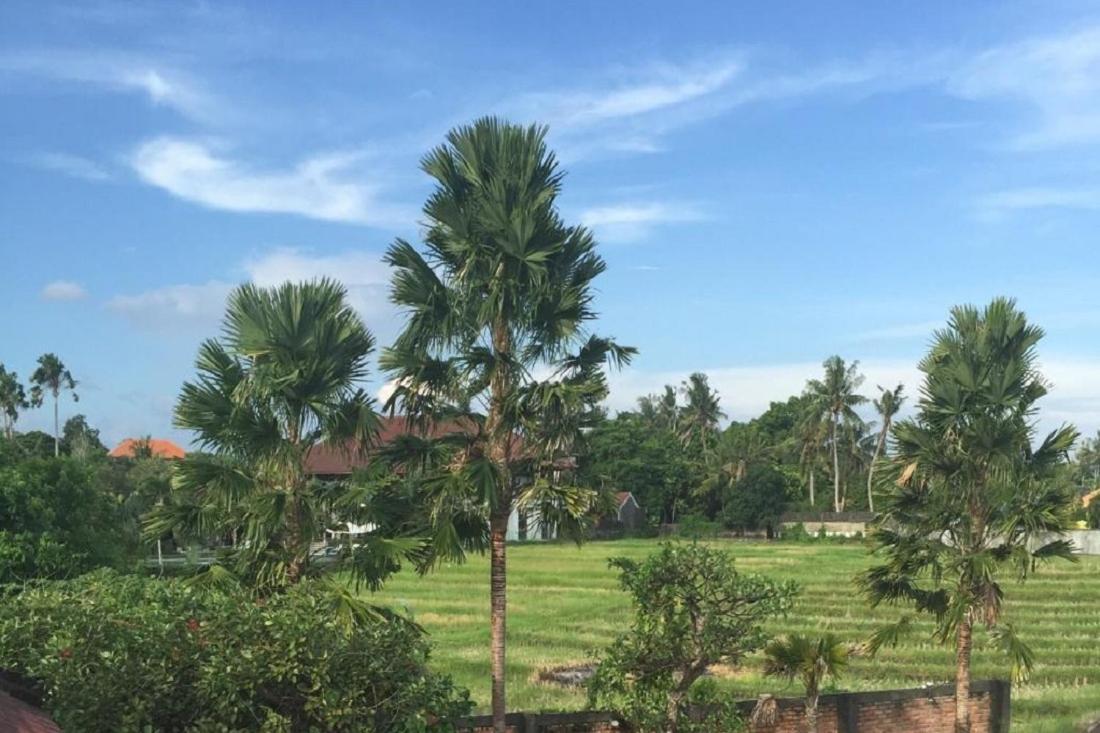 Ngeluwungan Boutique Hostel Canggu Exterior foto
